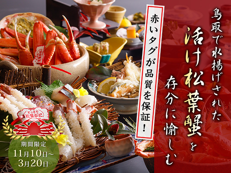 おすすめ宿泊プラン