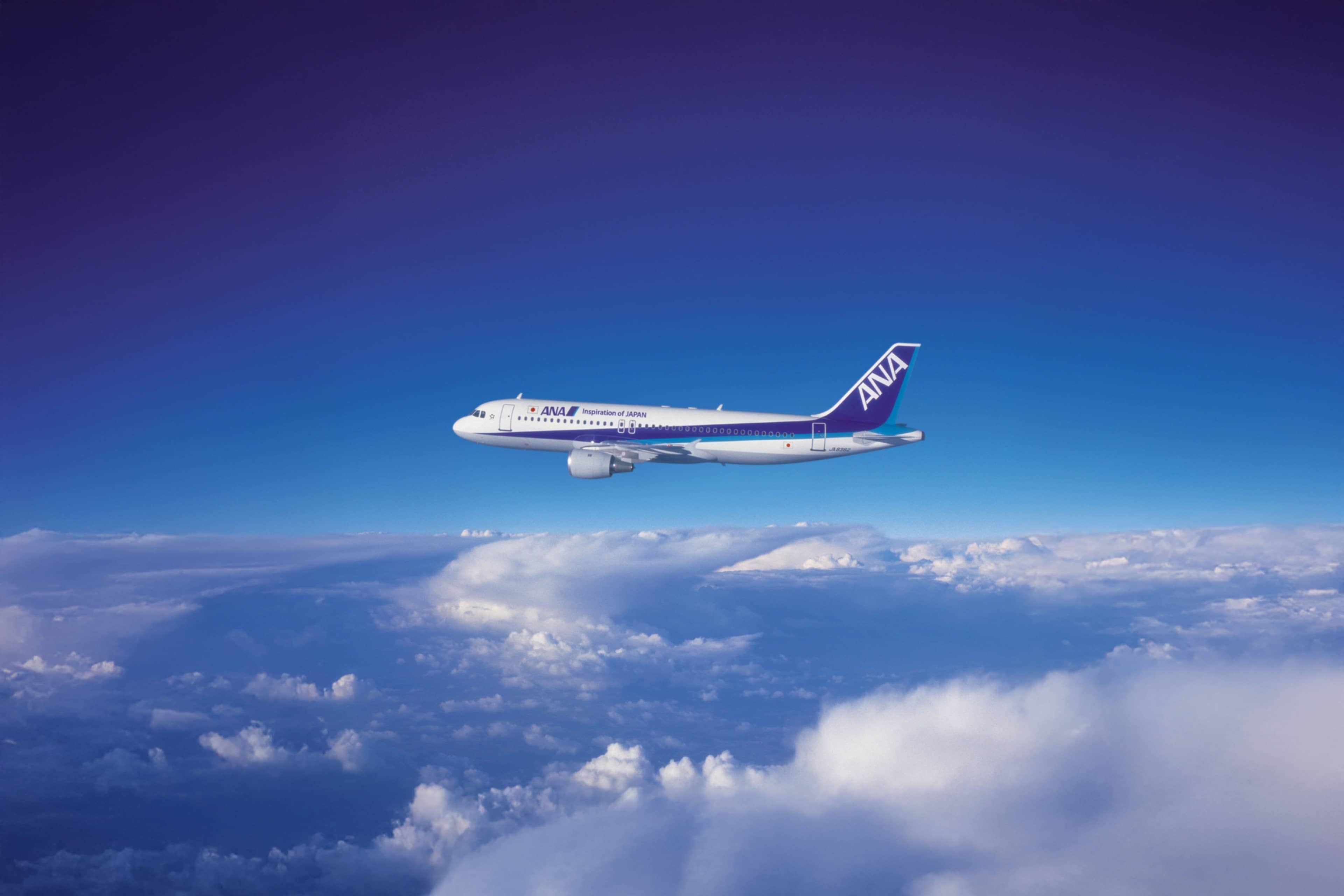 鳥取空旅