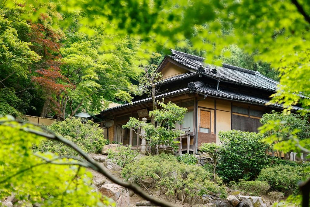 静寂に息づく緑が、昔の面影を今に伝える