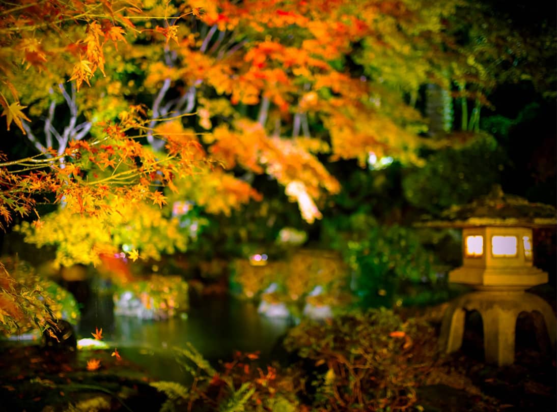 依山楼岩崎庭園「依水苑」