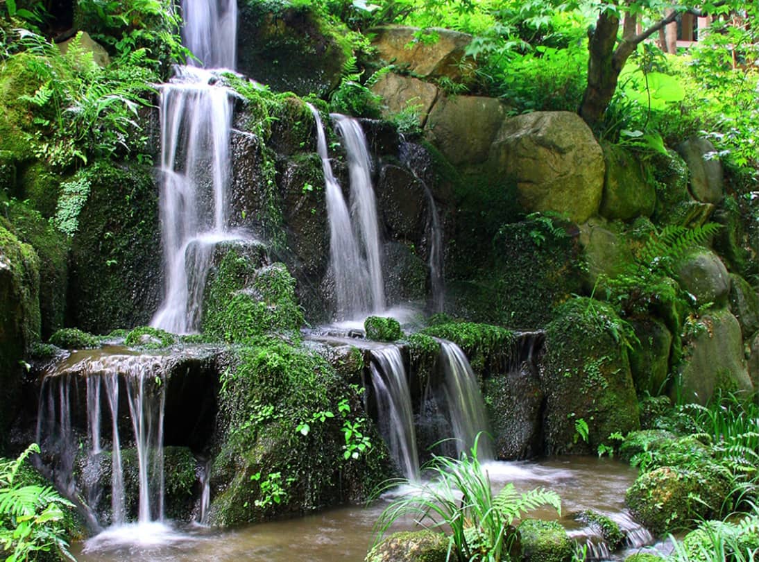 依山楼岩崎庭園「依水苑」