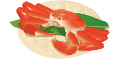 松葉蟹が食べられるプラン