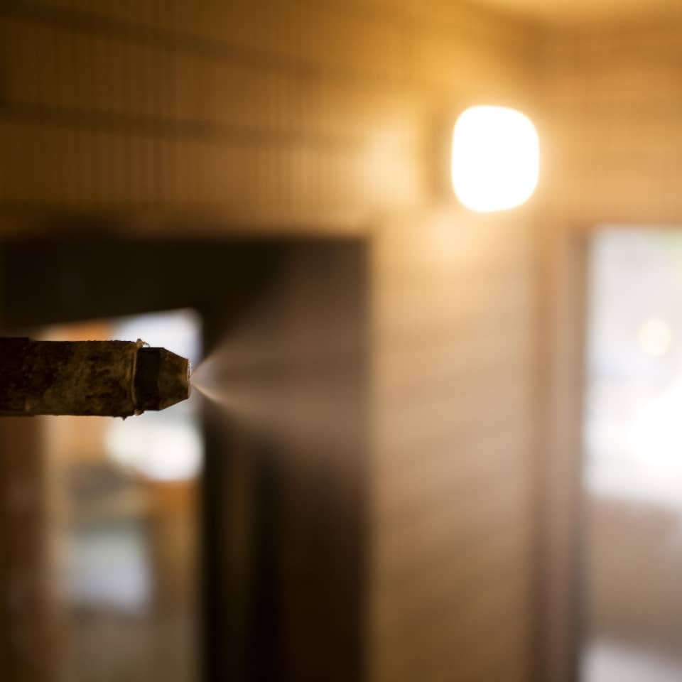 MIST SAUNA 左の湯・右の湯どちらでも入れる ラジウム蒸気風呂 （ミストサウナ）