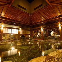 右の湯は昭和レトロな癒しのお風呂
