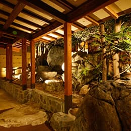 右の湯は昭和レトロな癒しのお風呂
