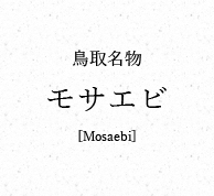 鳥取名物 モサエビ [Mosaebi]