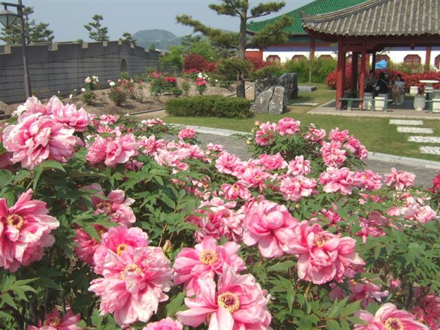 道の駅 燕趙園 明日オープン 依山楼岩崎 鳥取 三朝温泉