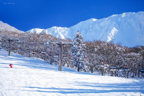 大山スキー